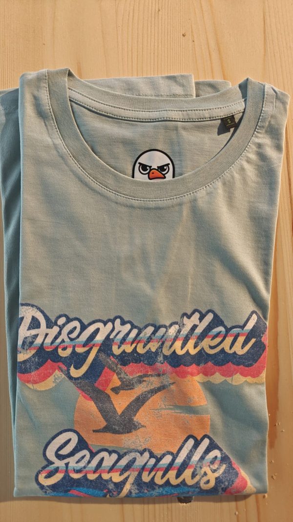 Disgruntled Seagulls t-shirt