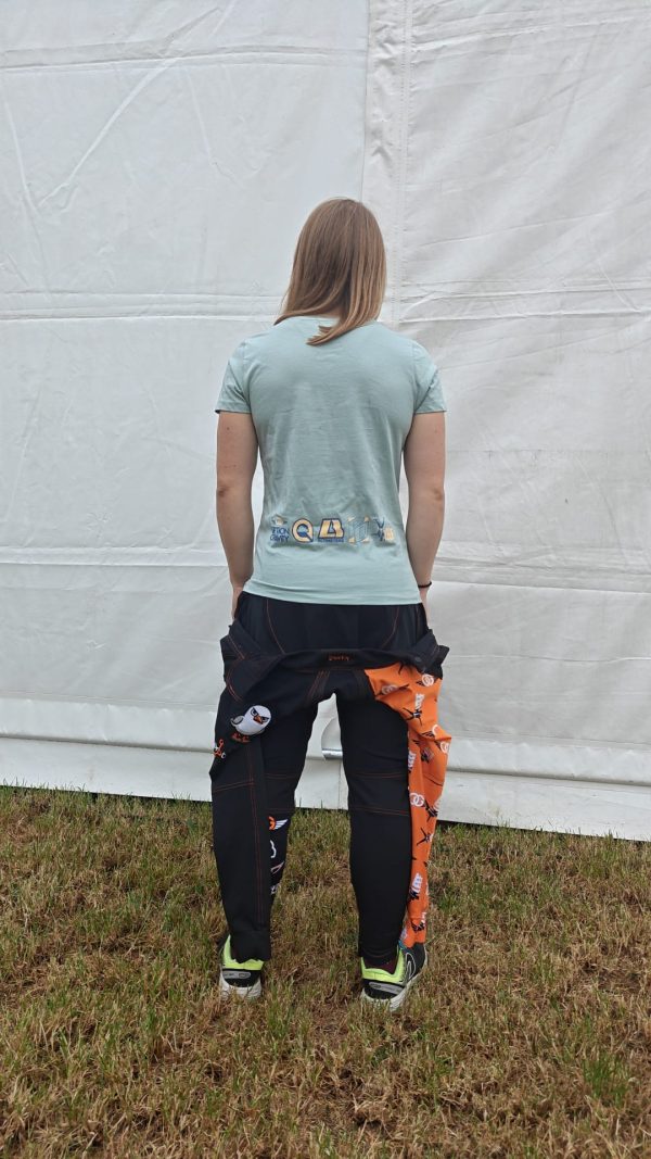 Disgruntled Seagulls t-shirt